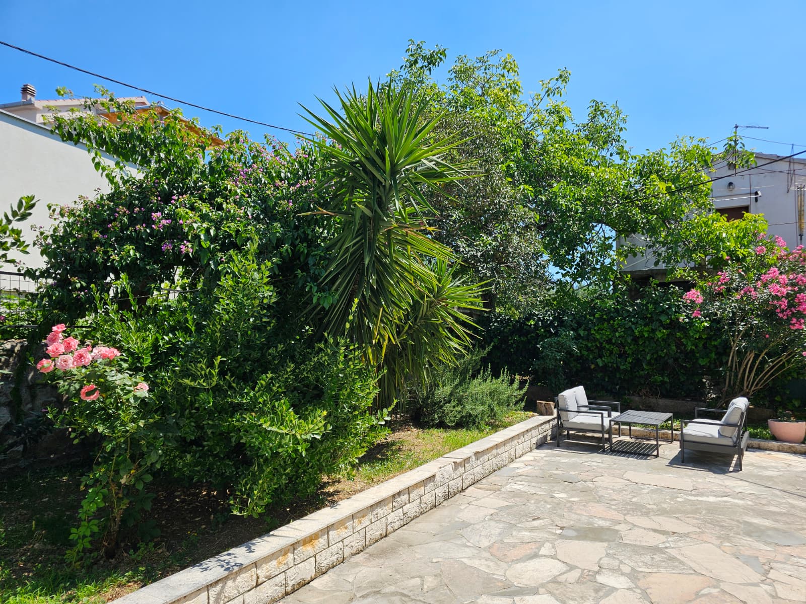 Garden and back yard